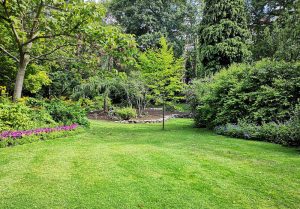 Optimiser l'expérience du jardin à Chatel-Censoir